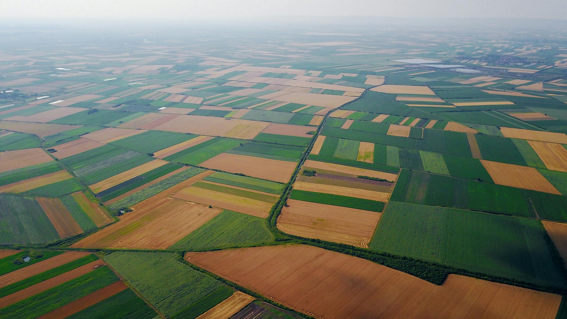 An aerial view of croplands
